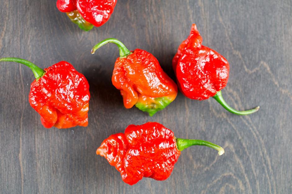 What is the hottest chilli in the world?